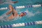 Swim vs Bentley  Wheaton College Swimming & Diving vs Bentley University. - Photo by Keith Nordstrom : Wheaton, Swimming & Diving